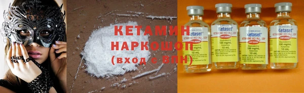индика Бородино