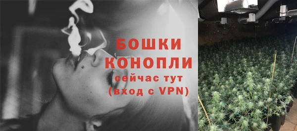 индика Бородино