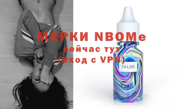 индика Бородино