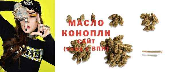 индика Бородино