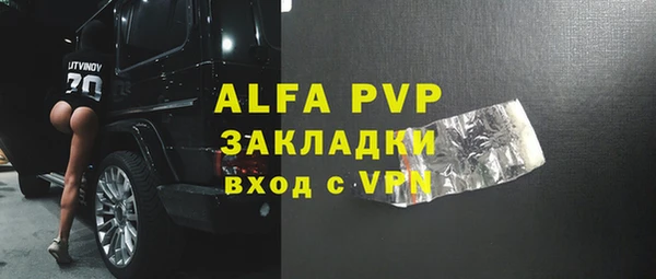 индика Бородино