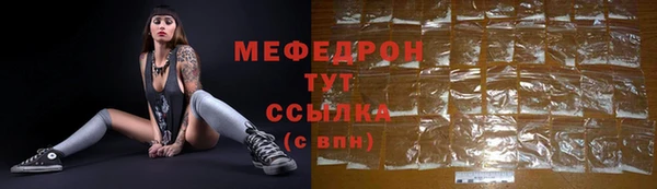 индика Бородино