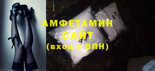 индика Бородино