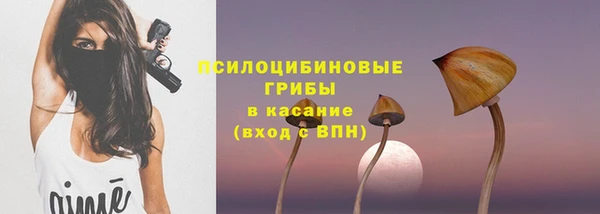 спиды Бронницы