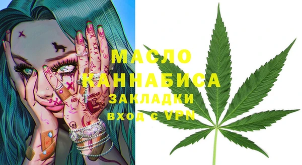 индика Бородино