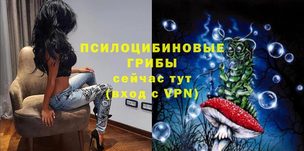 мдпв Бугульма