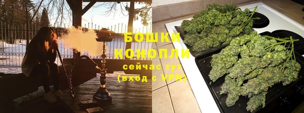 мдпв Бугульма
