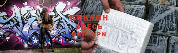 индика Бородино