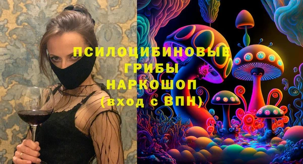 мдпв Бугульма