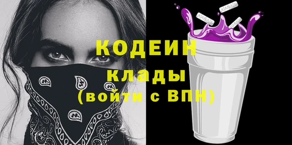 индика Бородино