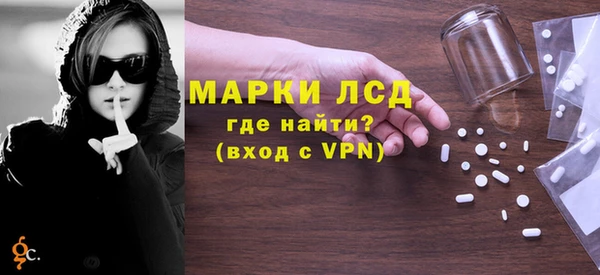 индика Бородино