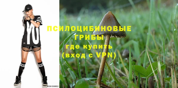 индика Бородино
